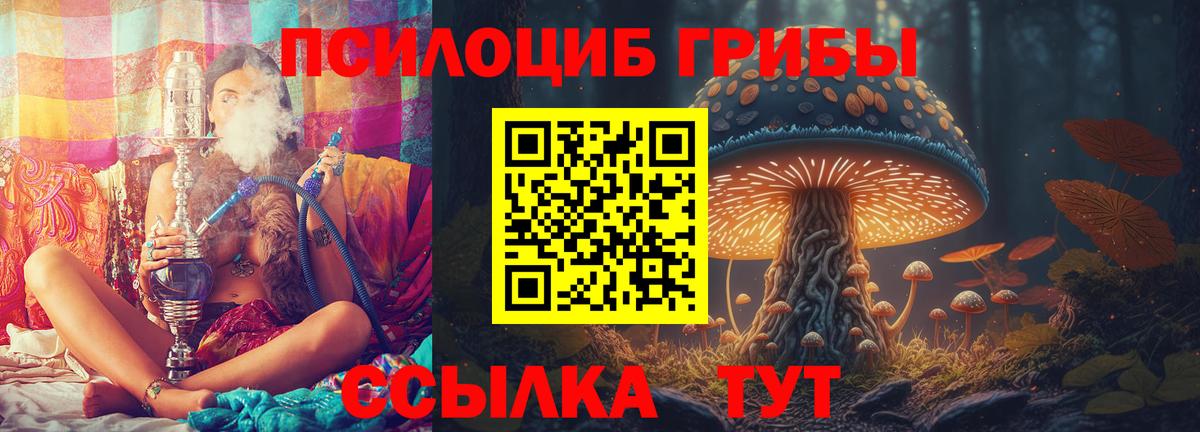 Псилоцибиновые грибы Magic Shrooms Великие Луки